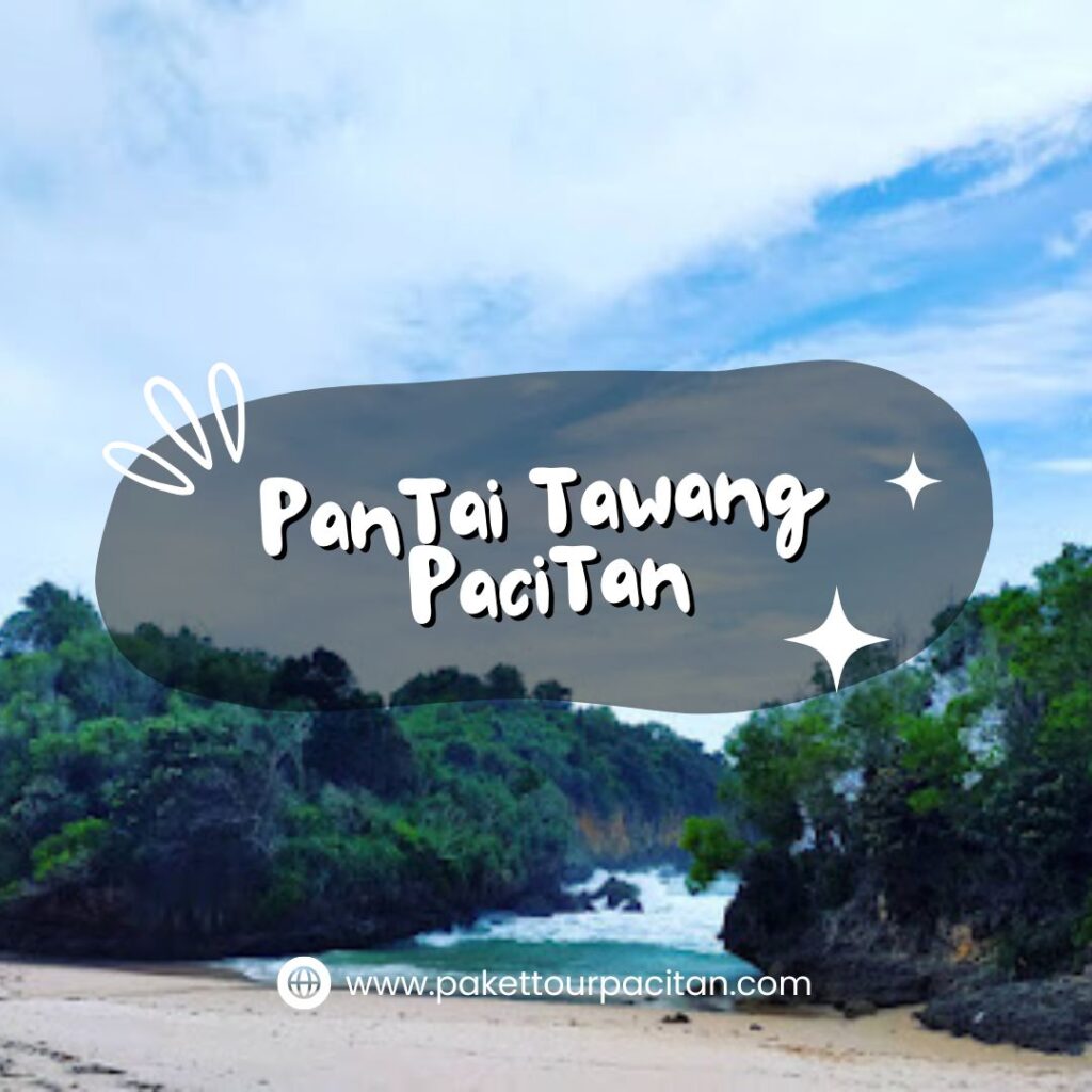 7 Alasan Pantai Tawang pacitan Layak Masuk Daftar Liburan