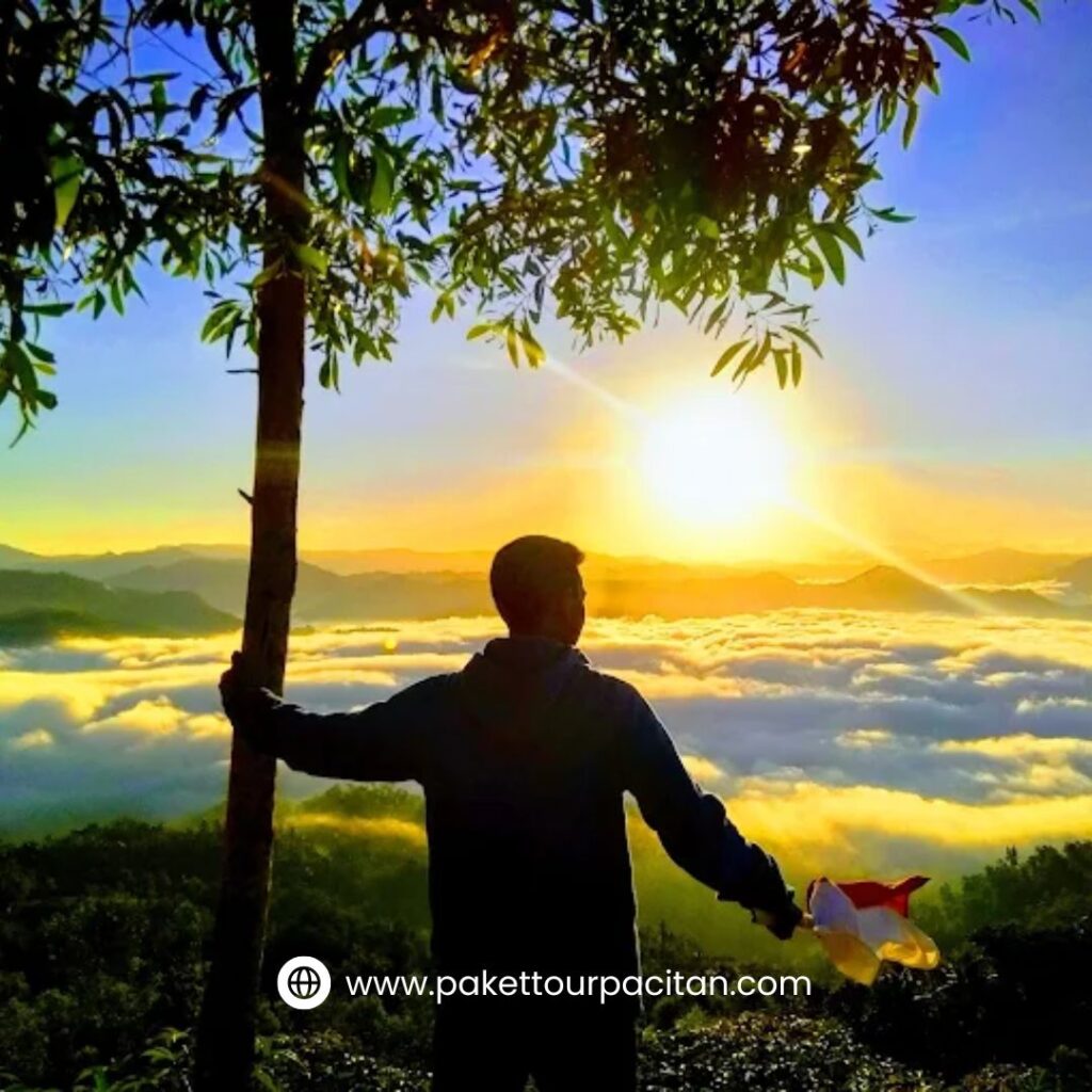 Bukit Bara Bere Pacitan, Spot Terbaik Melepas Penat