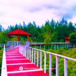 Menikmati Sunset di Watu Mejo Mangrove Park yang Menenangkan