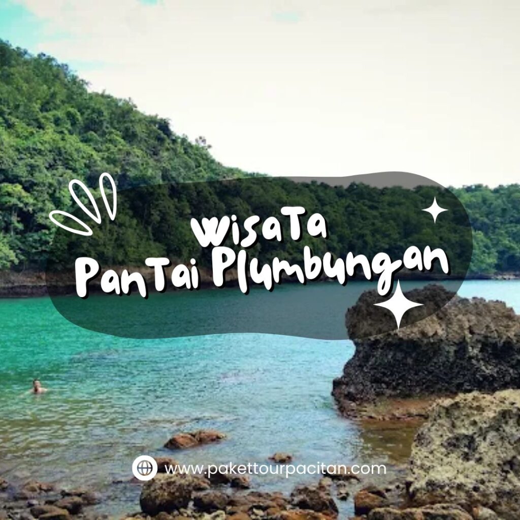Panduan Nyaman Wisata Pacitan ke Pantai Plumbungan
