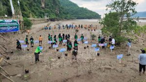 Blue Stone Mangrove Park