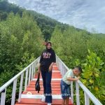 Mengapa Blue Stone Mangrove Park Disebut Sebagai Hidden Gem Pacitan